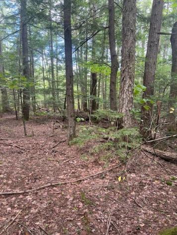 Tbd Miso Way Buxton ME 04093
