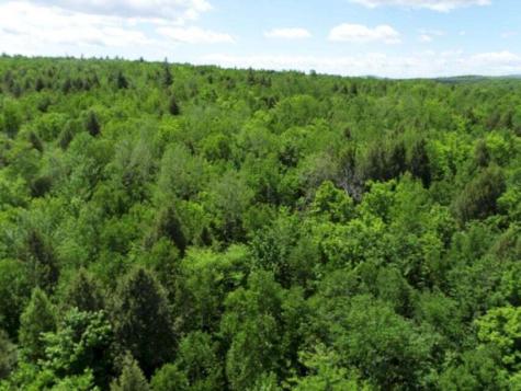 M7 L1-20 Off Pine Bluff Drive Embden ME 04958