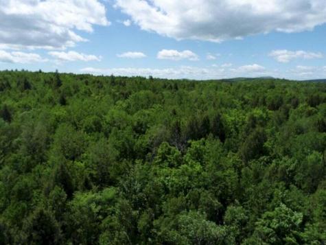 M7 L1-20 Off Pine Bluff Drive Embden ME 04958