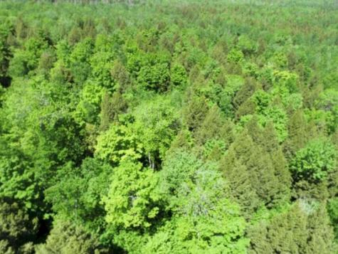 M7 L1-20 Off Pine Bluff Drive Embden ME 04958