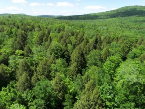 M7 L1-20 Off Pine Bluff Drive Embden ME 04958