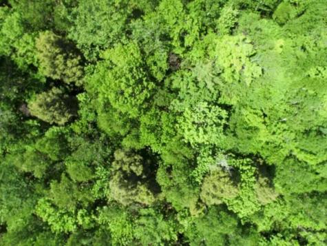 M7 L1-20 Off Pine Bluff Drive Embden ME 04958