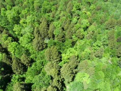 M7 L1-20 Off Pine Bluff Drive Embden ME 04958