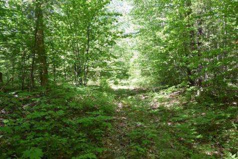 M7 L1-20 Off Pine Bluff Drive Embden ME 04958