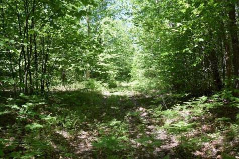 M7 L1-20 Off Pine Bluff Drive Embden ME 04958