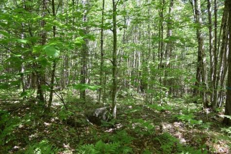 M7 L1-20 Off Pine Bluff Drive Embden ME 04958