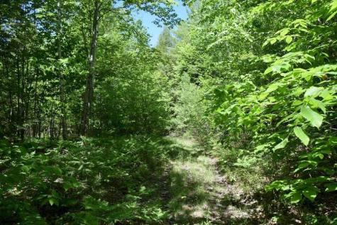 M7 L1-20 Off Pine Bluff Drive Embden ME 04958