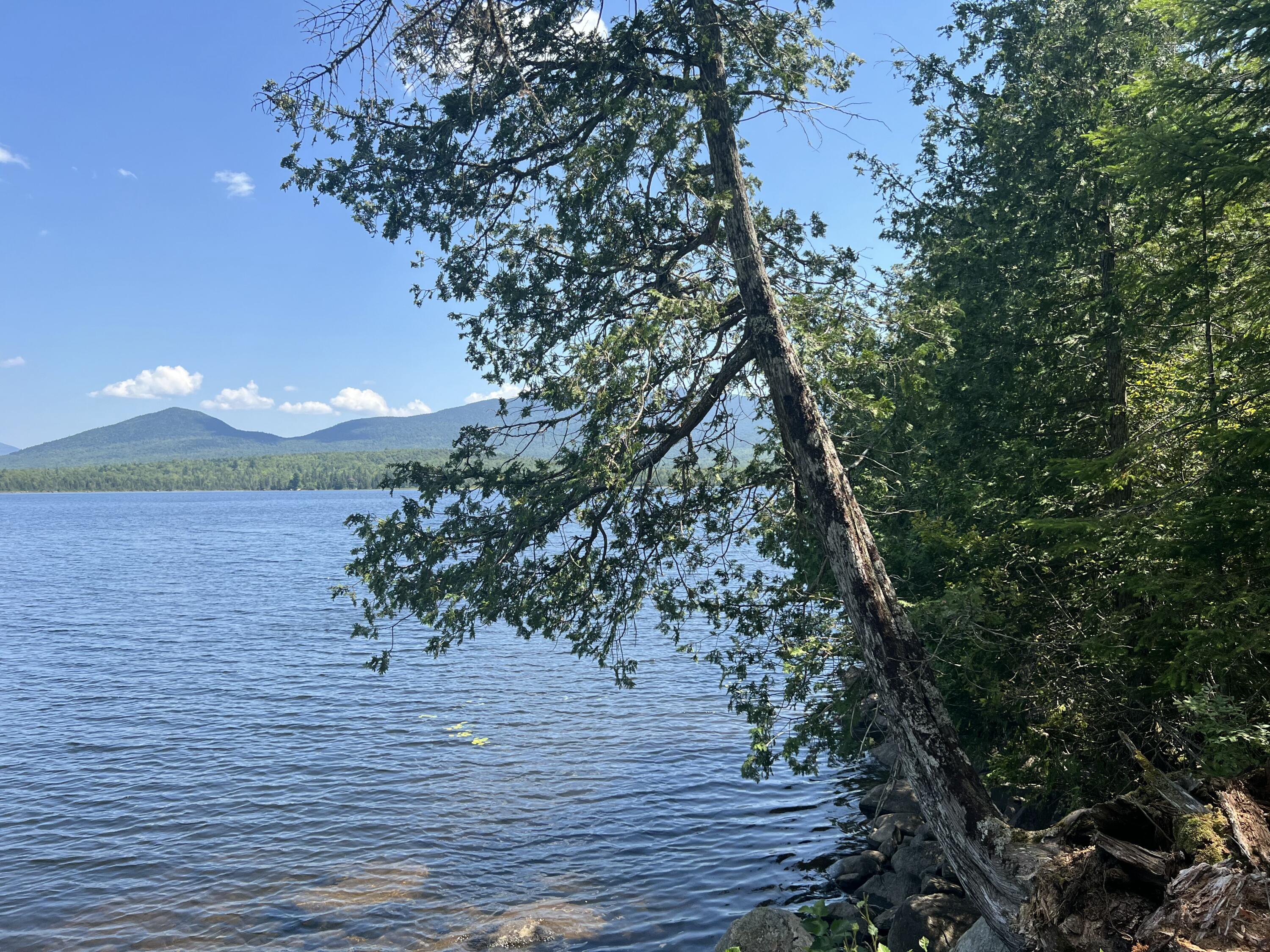 Lot 2 Saddleback Mountain Road Dallas Plt ME 04970