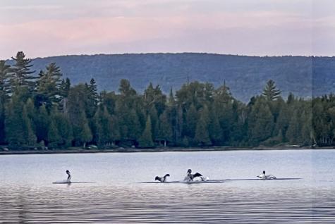 Lot 2 Saddleback Mountain Road Dallas Plt ME 04970