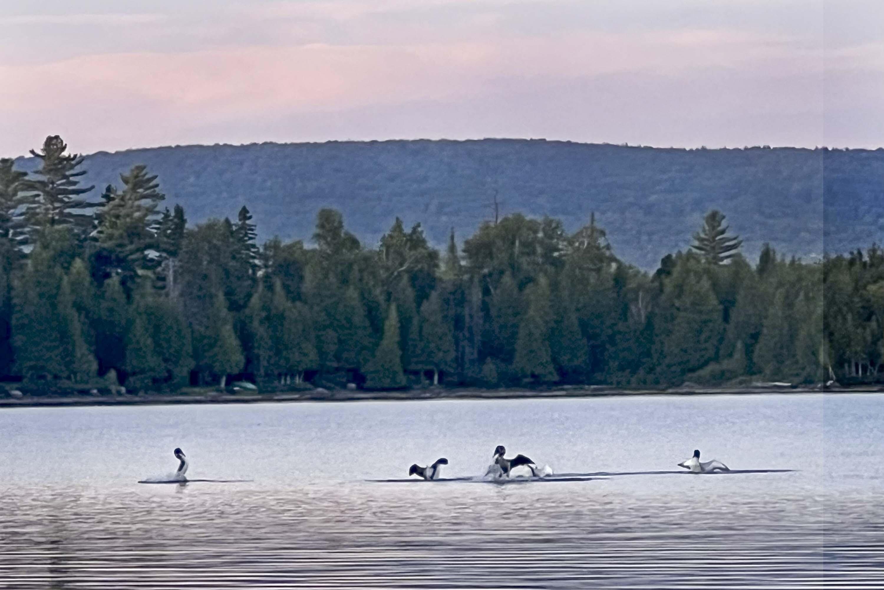 Lot 2 Saddleback Mountain Road Dallas Plt ME 04970