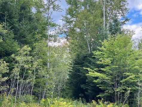 Lot 2 Saddleback Mountain Road Dallas Plt ME 04970