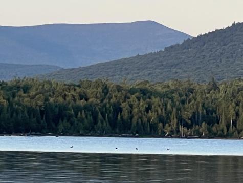 Lot 2 Saddleback Mountain Road Dallas Plt ME 04970