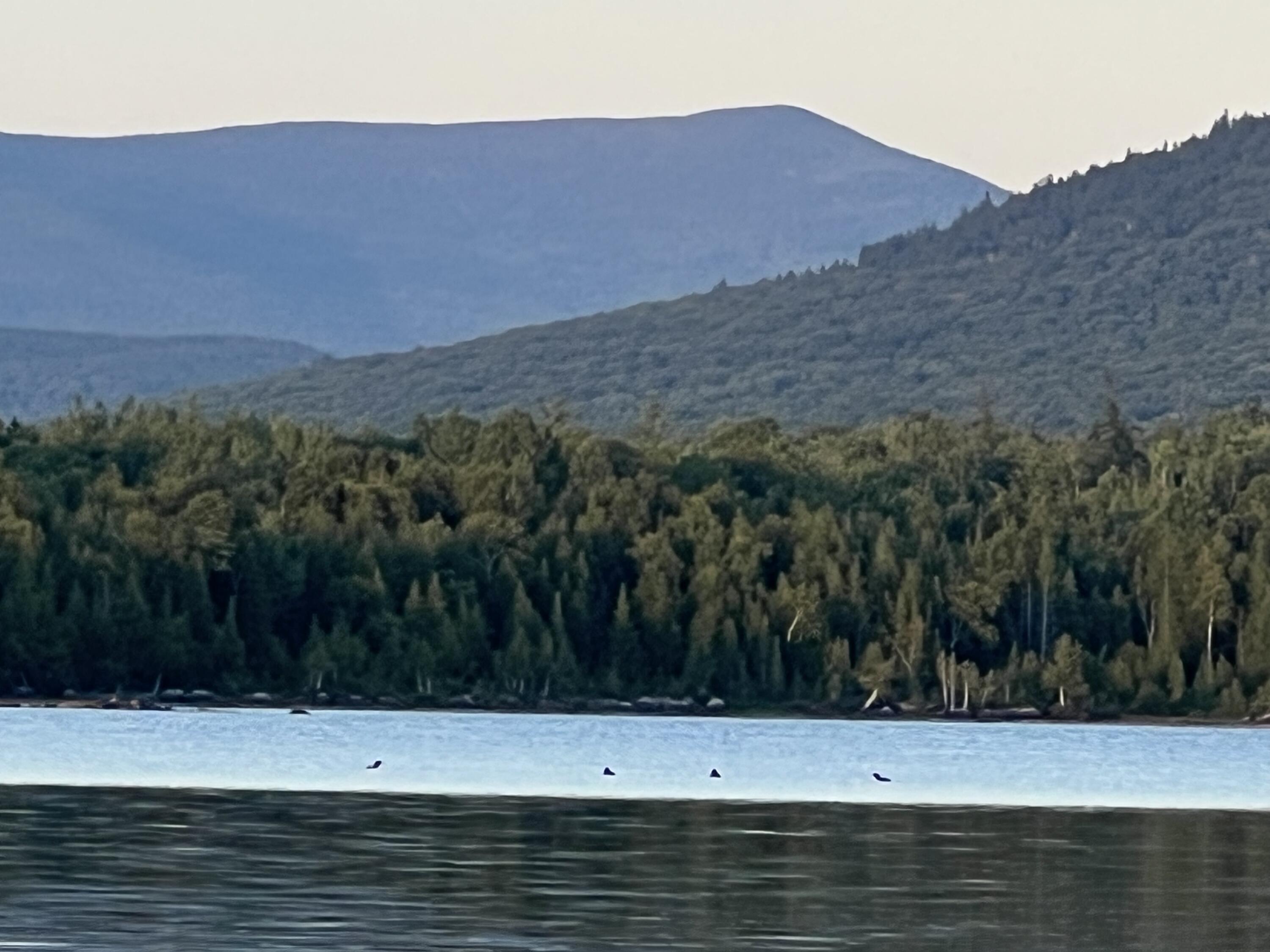 Lot 2 Saddleback Mountain Road Dallas Plt ME 04970