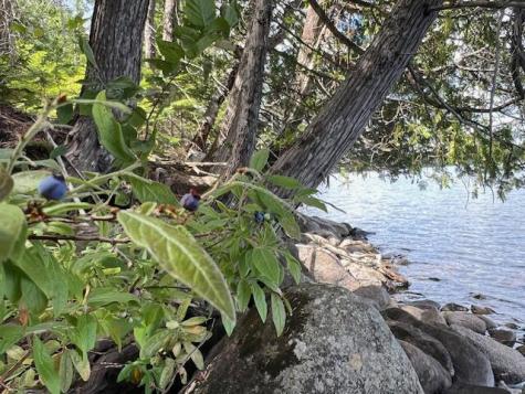 Lot 2 Saddleback Mountain Road Dallas Plt ME 04970