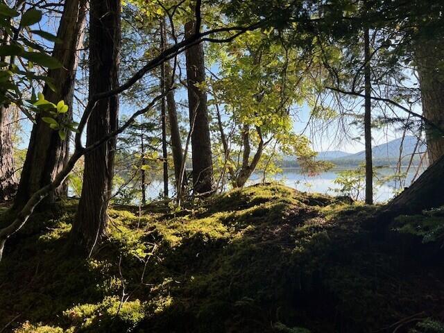 Lot 2 Saddleback Mountain Road Dallas Plt ME 04970