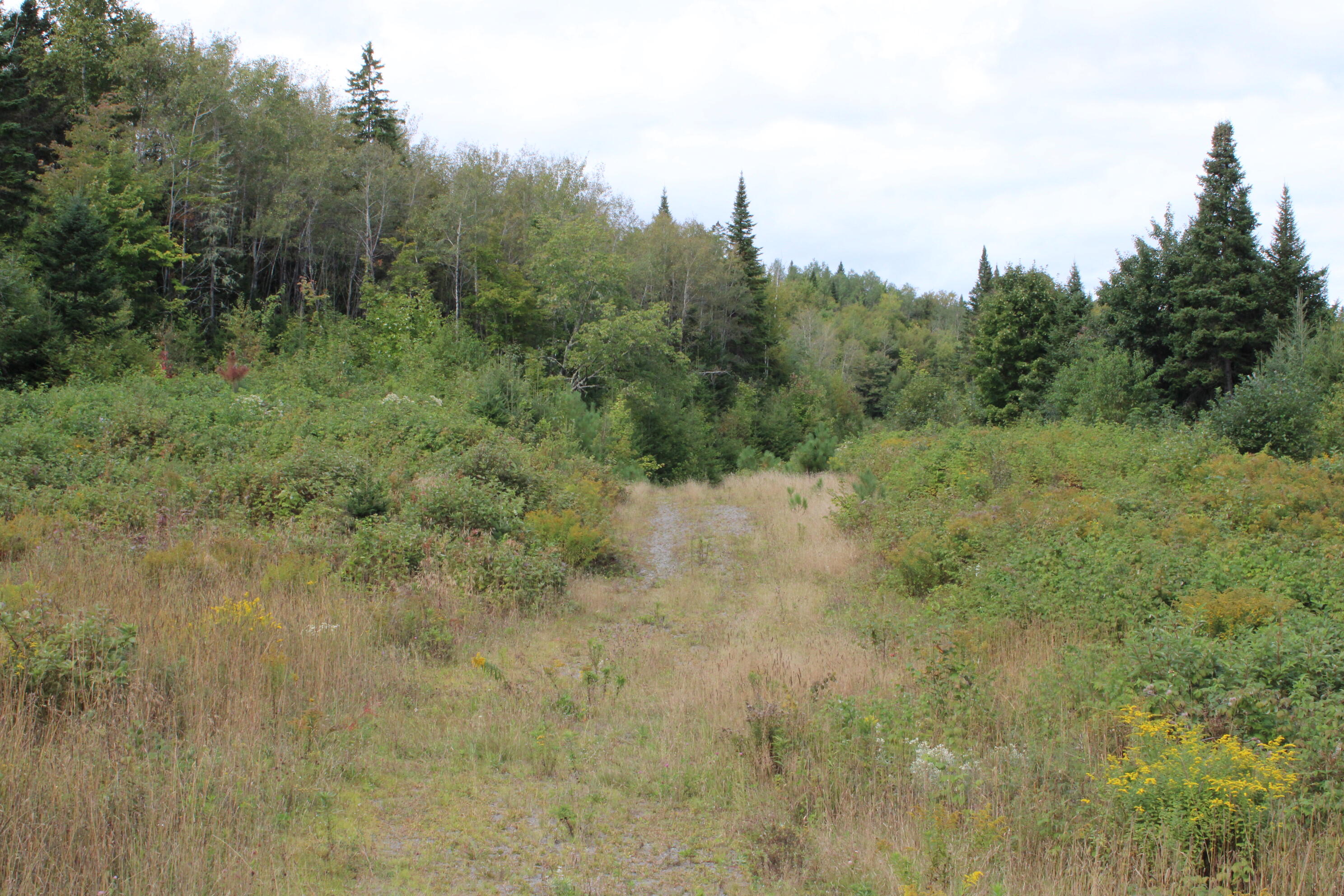 44 Paradis Avenue Frenchville ME 04745
