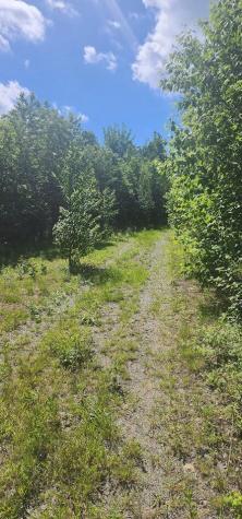 Off Springy Pond Road Otis ME 04428