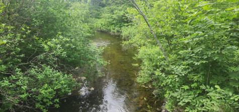 Off Springy Pond Road Otis ME 04428