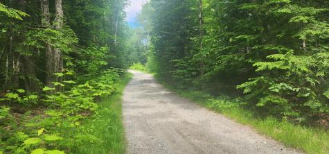 Off Springy Pond Road Otis ME 04428