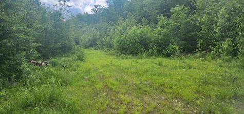 Off Springy Pond Road Otis ME 04428