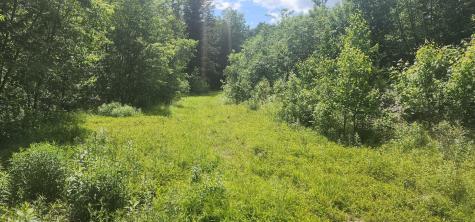 Off Springy Pond Road Otis ME 04428