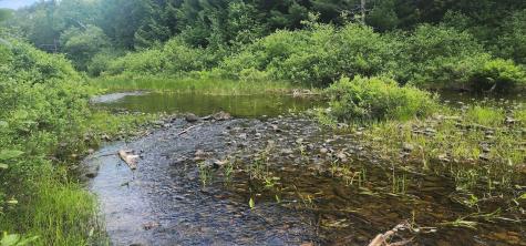 Off Springy Pond Road Otis ME 04428