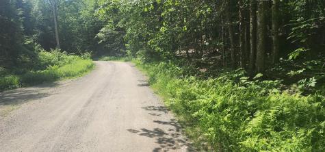 Off Springy Pond Road Otis ME 04428