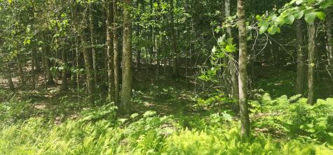 Off Springy Pond Road Otis ME 04428