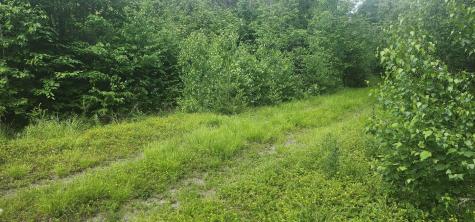 Off Springy Pond Road Otis ME 04428