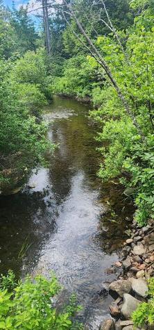 Off Springy Pond Road Otis ME 04428