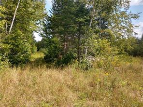 Off Springy Pond Road Otis ME 04428