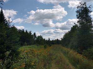 Off Springy Pond Road Otis ME 04428