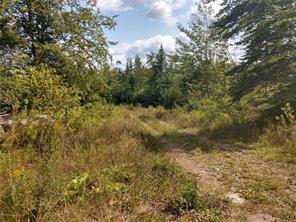 Off Springy Pond Road Otis ME 04428