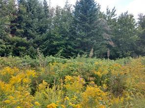 Off Springy Pond Road Otis ME 04428