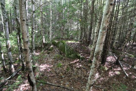 Map 01 Lots 6.4 6.5 Route 191 Cathance Twp ME 04657