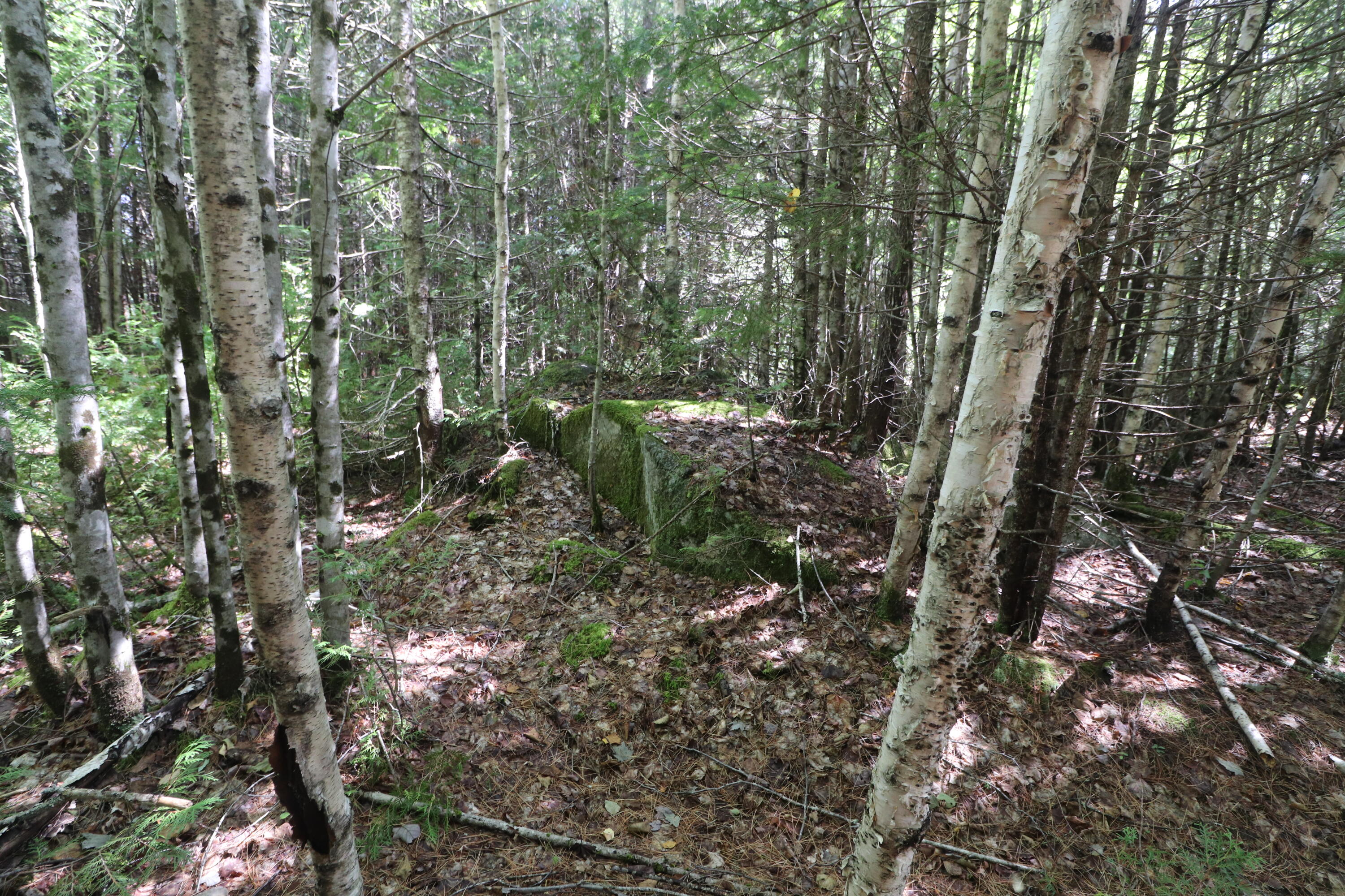 Map 01 Lots 6.4 6.5 Route 191 Cathance Twp ME 04657