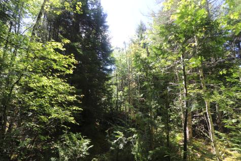 Map 01 Lots 6.4 6.5 Route 191 Cathance Twp ME 04657