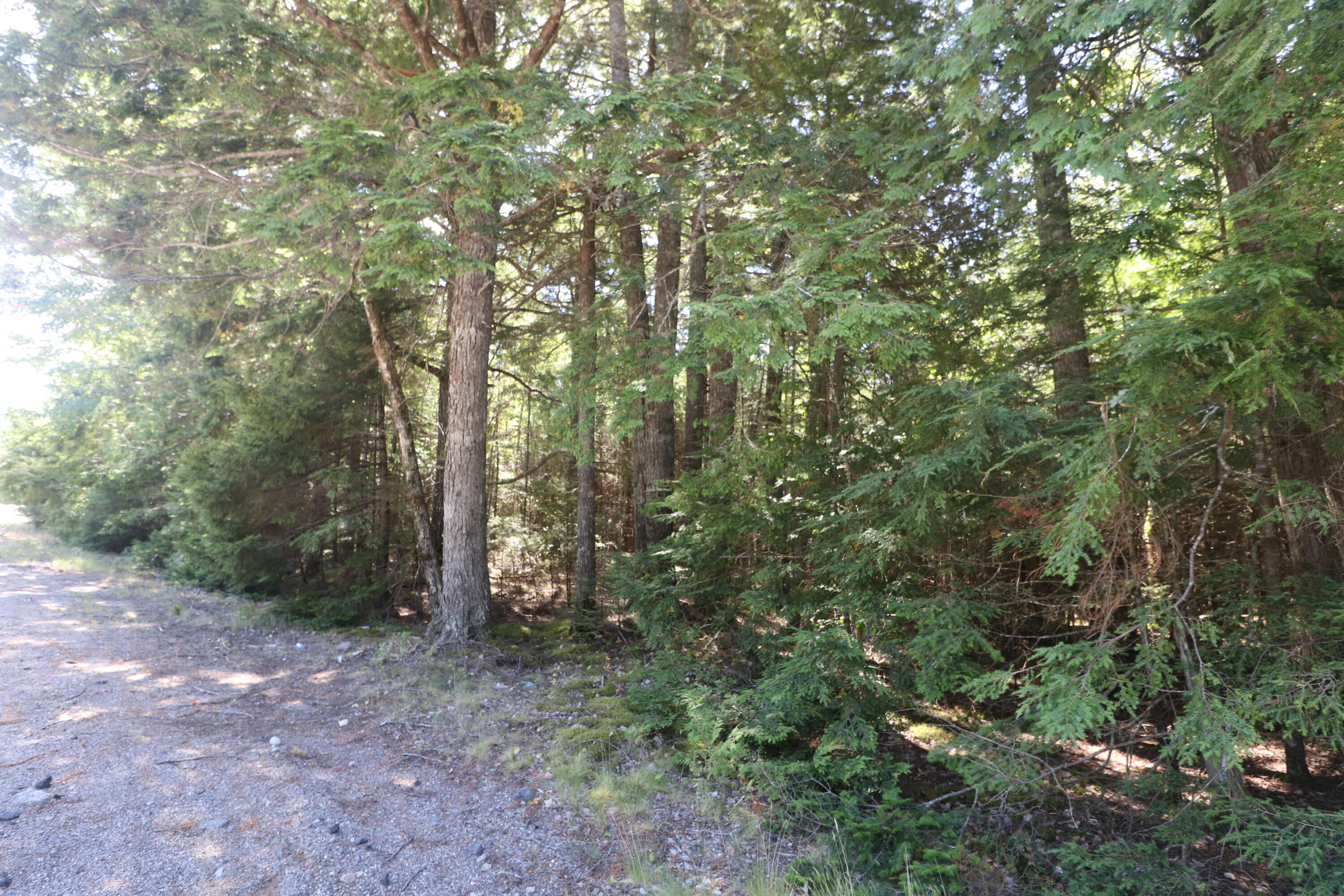 Map 01 Lots 6.4 6.5 Route 191 Cathance Twp ME 04657