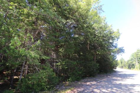 Map 01 Lots 6.4 6.5 Route 191 Cathance Twp ME 04657