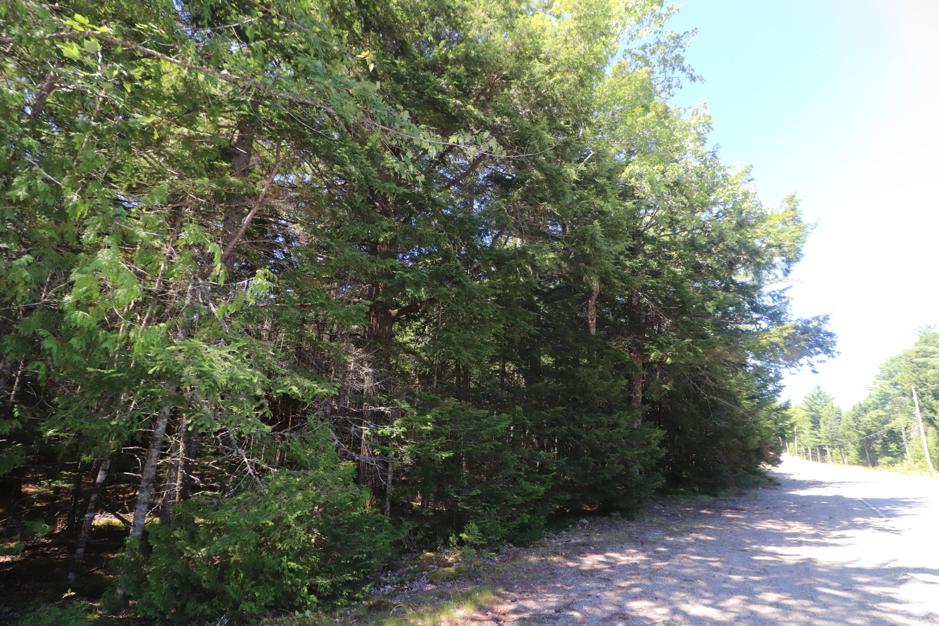 Map 01 Lots 6.4 6.5 Route 191 Cathance Twp ME 04657