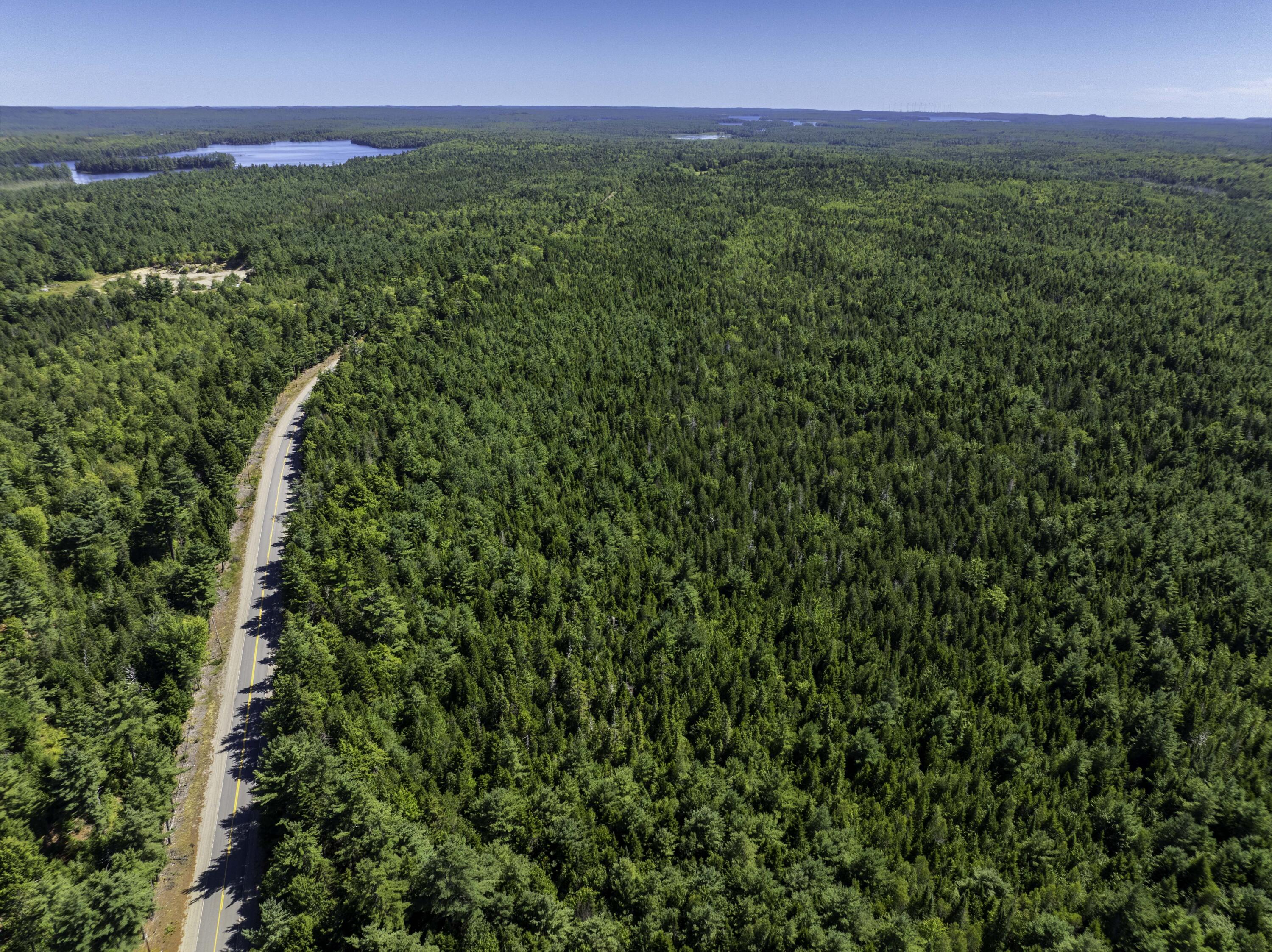 Map 01 Lots 6.4 6.5 Route 191 Cathance Twp ME 04657