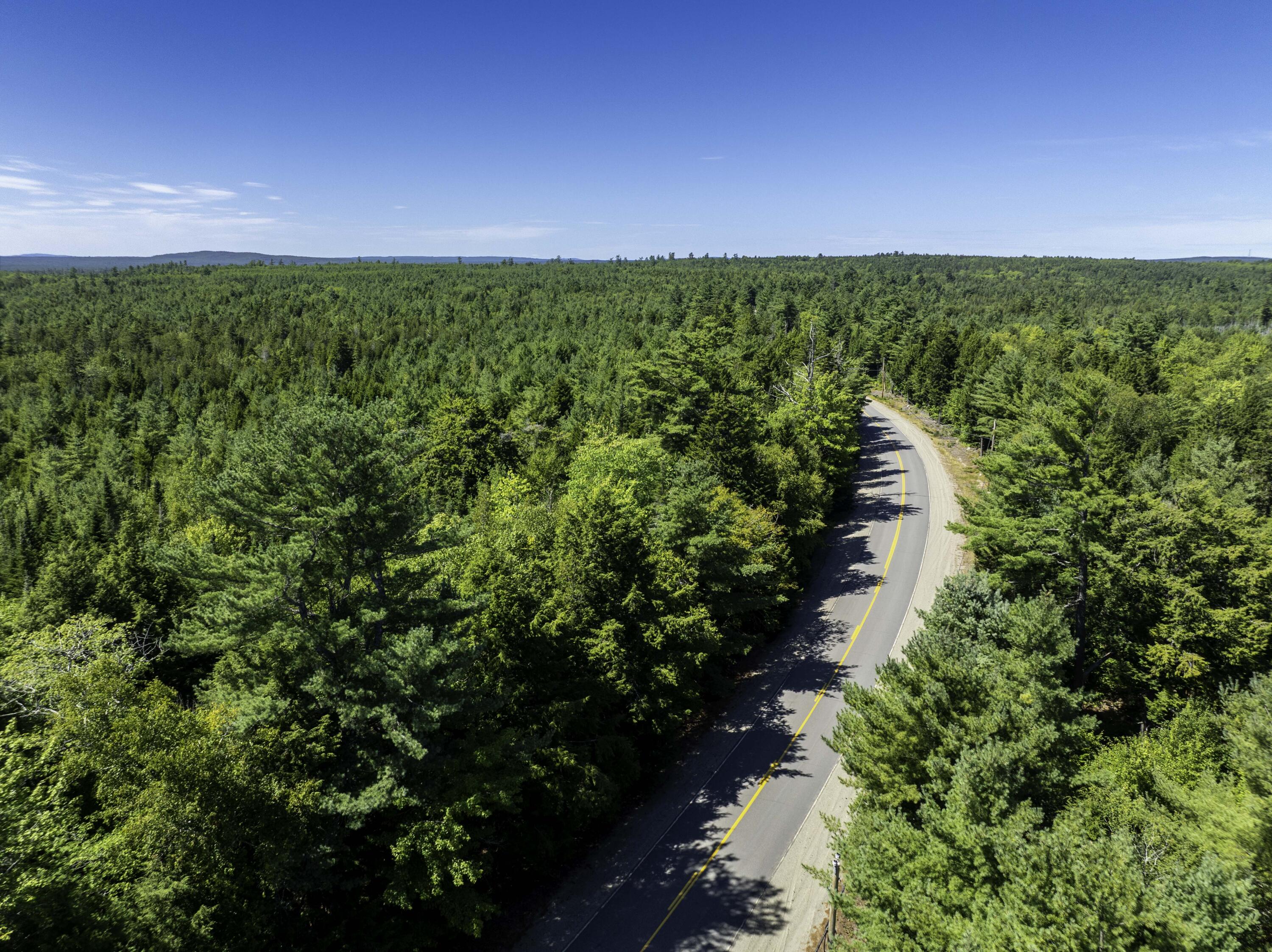 Map 01 Lots 6.4 6.5 Route 191 Cathance Twp ME 04657