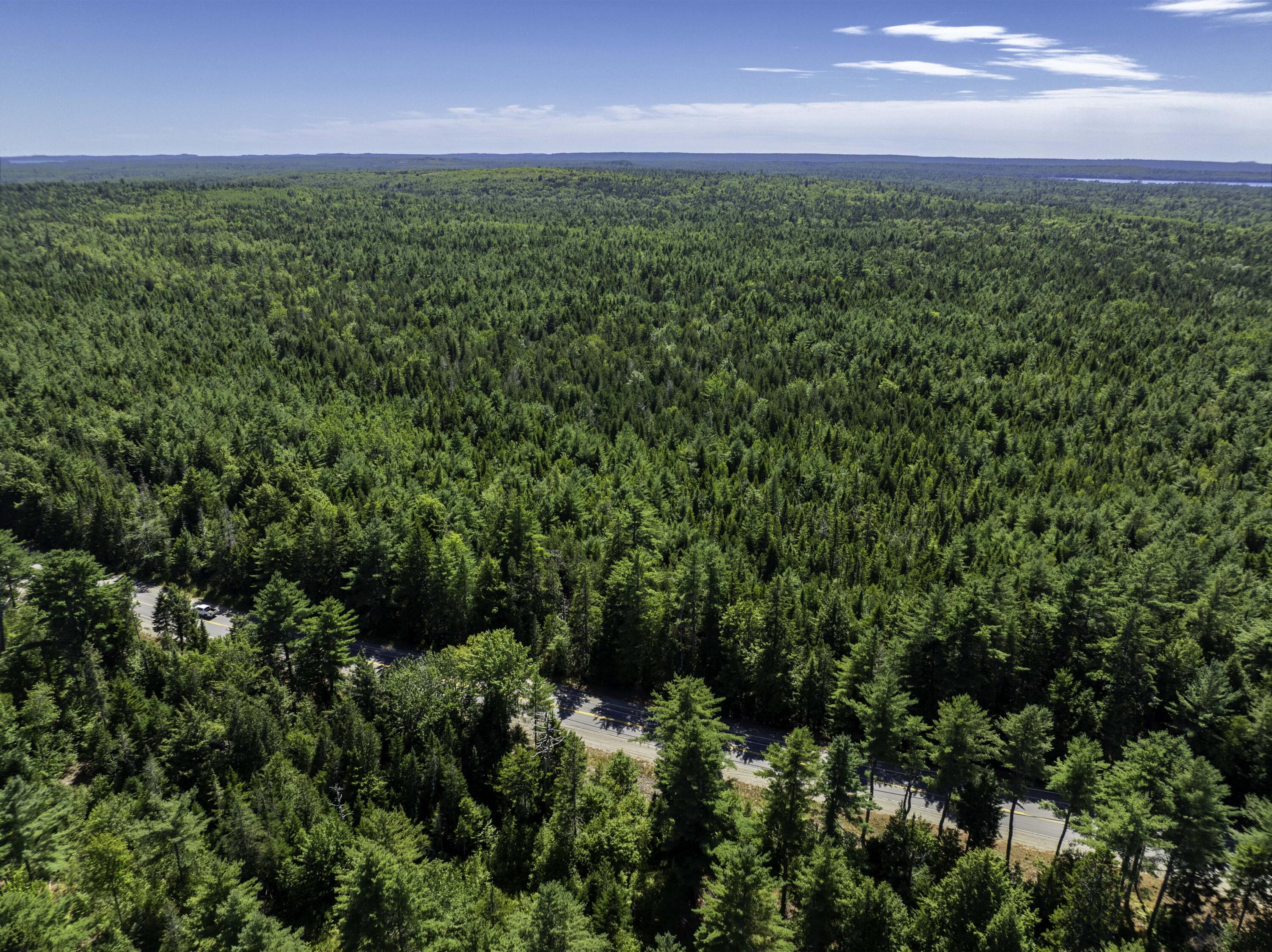 Map 01 Lots 6.4 6.5 Route 191 Cathance Twp ME 04657