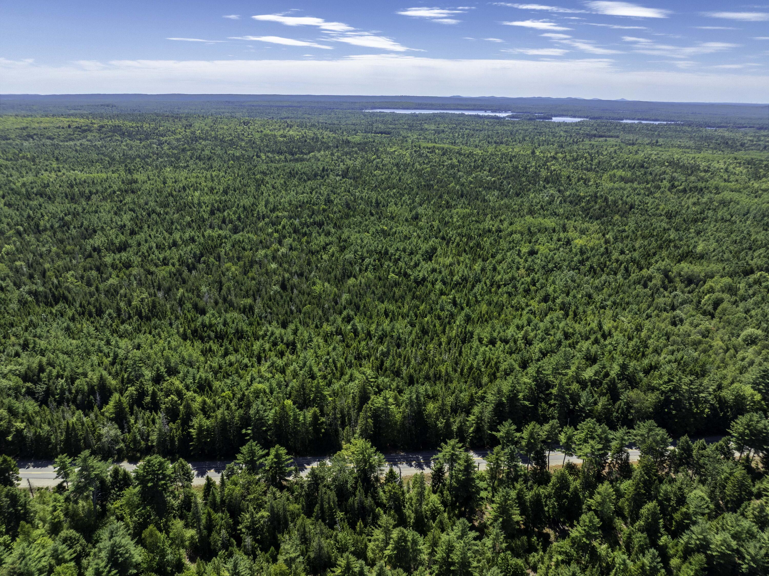 Map 01 Lots 6.4 6.5 Route 191 Cathance Twp ME 04657