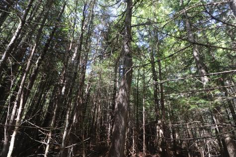 Map 01 Lots 6.4 6.5 Route 191 Cathance Twp ME 04657