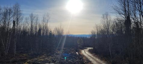 17-1 Sugar Hill Road Eastbrook ME 04634