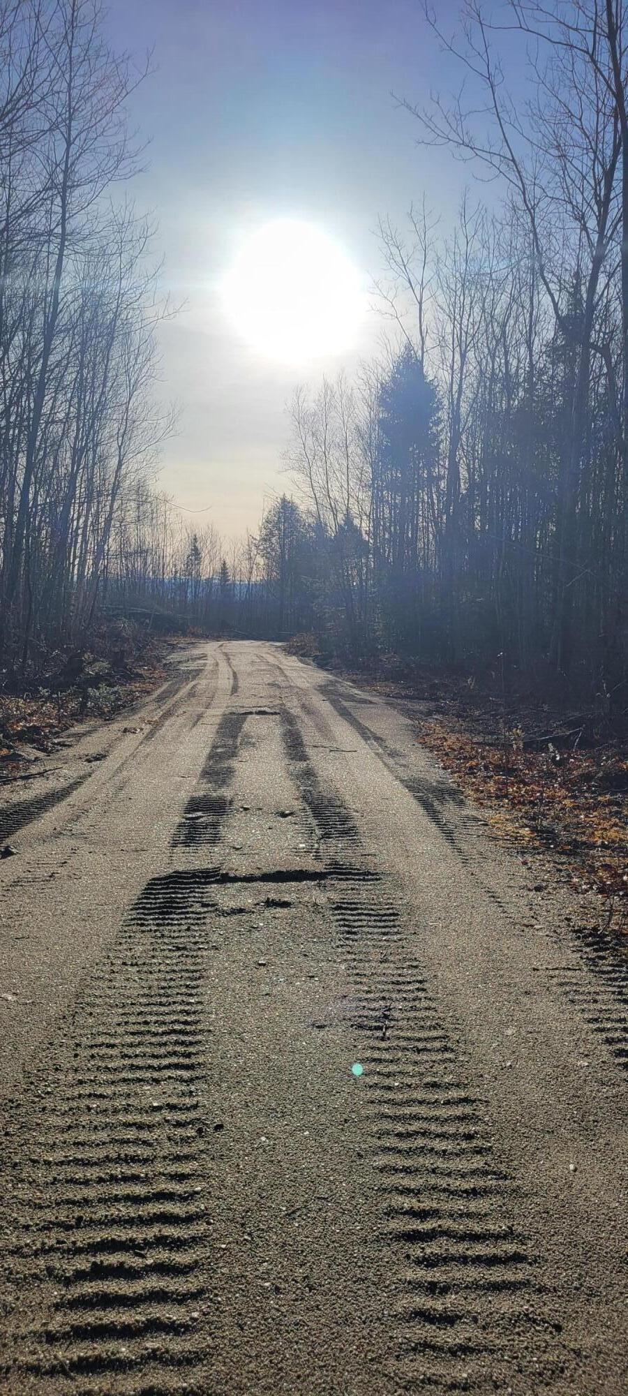 17-1 Sugar Hill Road Eastbrook ME 04634