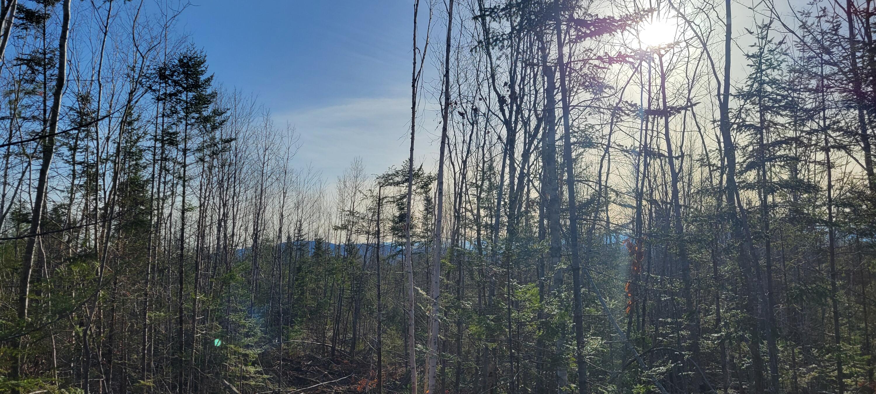 17-1 Sugar Hill Road Eastbrook ME 04634