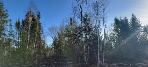 17-1 Sugar Hill Road Eastbrook ME 04634