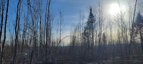 17-1 Sugar Hill Road Eastbrook ME 04634